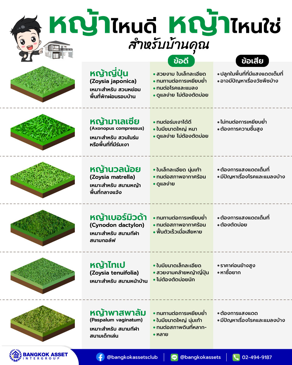 4.-หญ้าไหนดี-หญ้าไหนใช่สำหรับบ้านคุณ.jpg