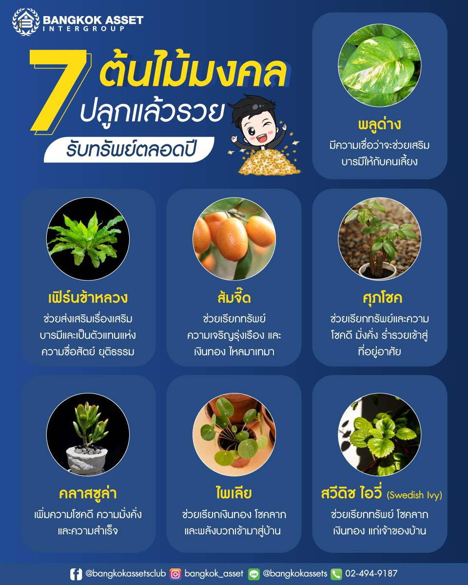 7-ต้นไม้มงคล-ปลูกแล้วรวย-รับทรัพย์ตลอดปี_เพจ1.jpg